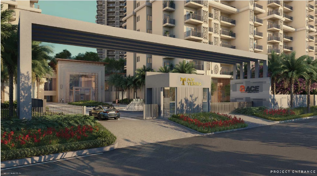 ace terra Project